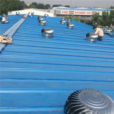 四川自貢廠房屋頂無(wú)動(dòng)力風(fēng)機(jī) 屋頂通風(fēng)器風(fēng)帽風(fēng)球